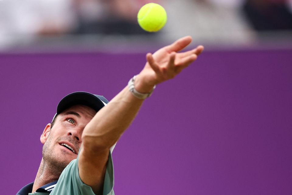 的结构优势 的结构优势