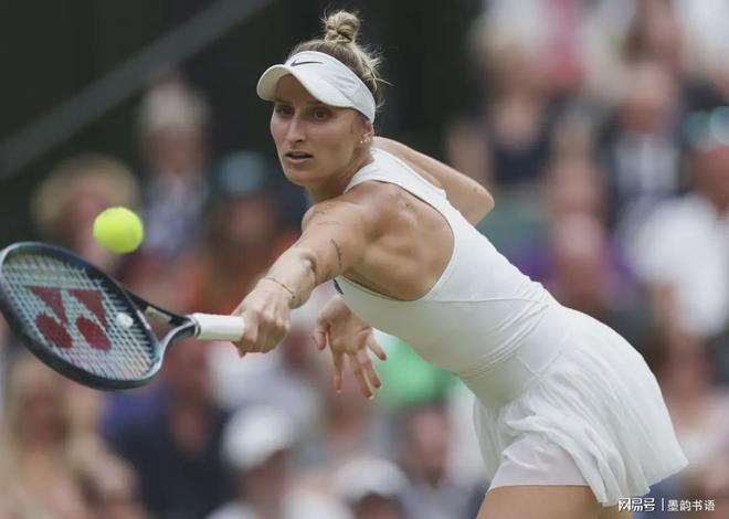 这次当选的 这次当选的